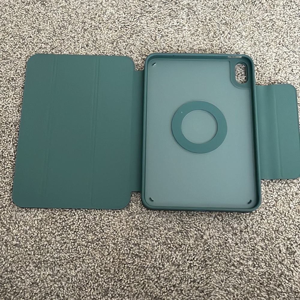 Mini iPad case